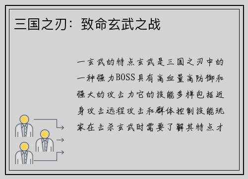 三国之刃：致命玄武之战