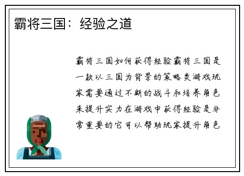 霸将三国：经验之道